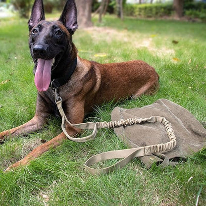 Avellure™ Tactical Dog Leash
