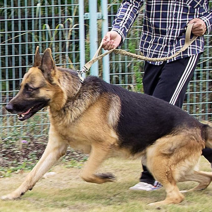 Avellure™ Tactical Dog Leash