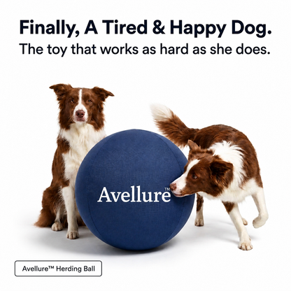 Avellure™ Herding Ball