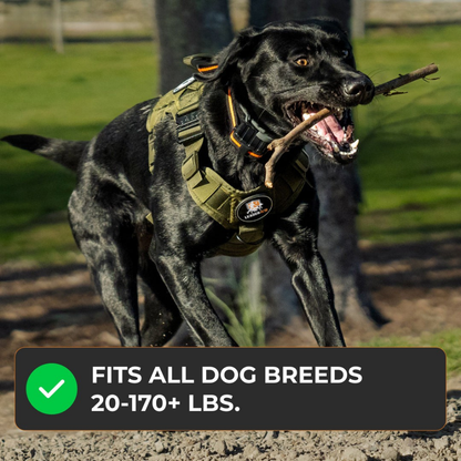 Avellure K9 Pro™ No-Pull Tactical Dog Harness – Full Control for Power Breeds