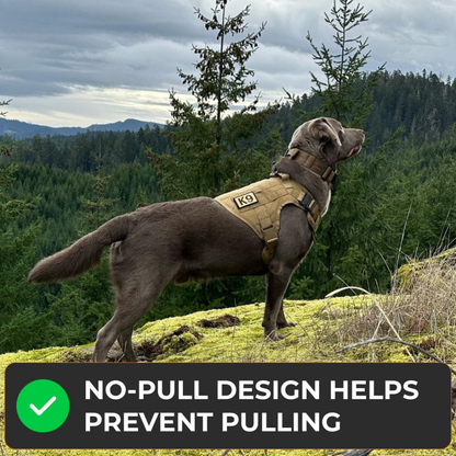 Avellure K9 Pro™ No-Pull Tactical Dog Harness – Full Control for Power Breeds