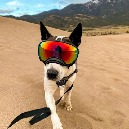 Avellure™ Dog Goggles Anti-UV Sun Glasses Eyewear Protection