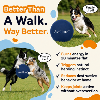 Avellure™ Herding Ball