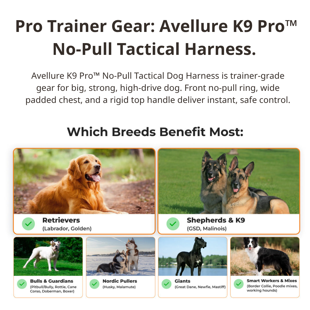 Avellure K9 Pro™ No-Pull Tactical Dog Harness – Full Control for Power Breeds