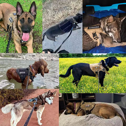 Avellure K9 Pro™ No-Pull Tactical Dog Harness – Full Control for Power Breeds