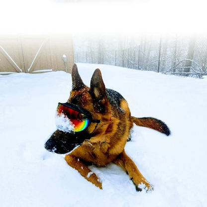 Avellure™ Dog Goggles Anti-UV Sun Glasses Eyewear Protection