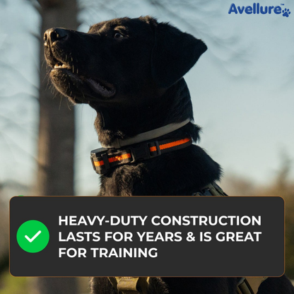 Avellure K9 Pro™ No-Pull Tactical Dog Harness – Full Control for Power Breeds