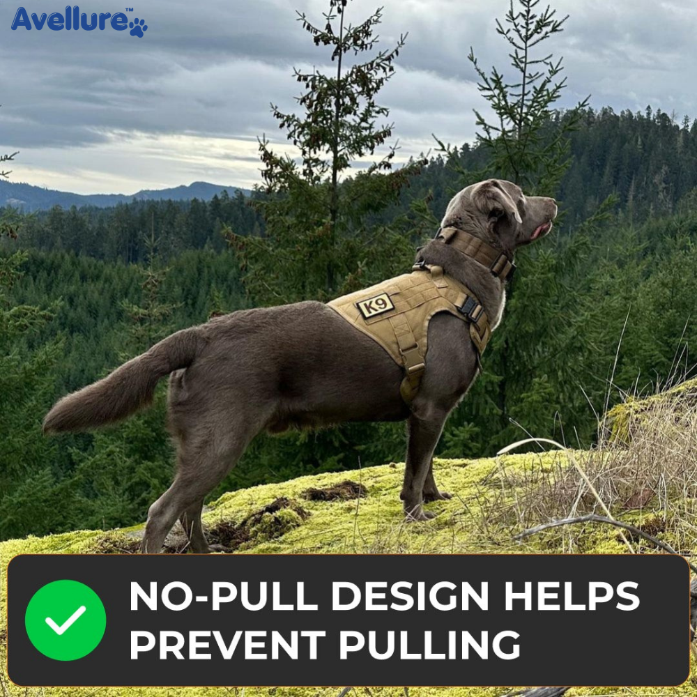 Avellure K9 Pro™ No-Pull Tactical Dog Harness – Full Control for Power Breeds