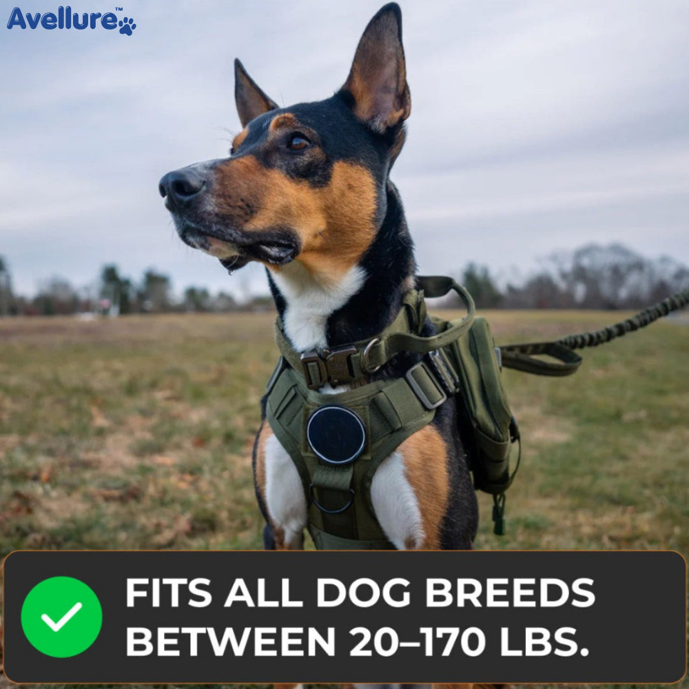 Avellure K9 Pro™ No-Pull Tactical Dog Harness – Full Control for Power Breeds