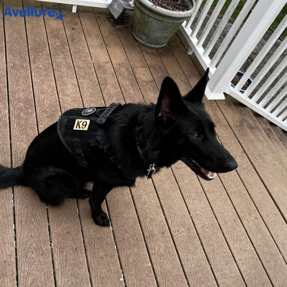 Avellure K9 Pro™ No-Pull Tactical Dog Harness – Full Control for Power Breeds
