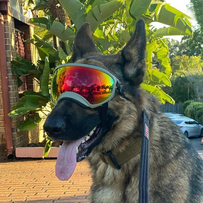 Avellure™ Dog Goggles Anti-UV Sun Glasses Eyewear Protection