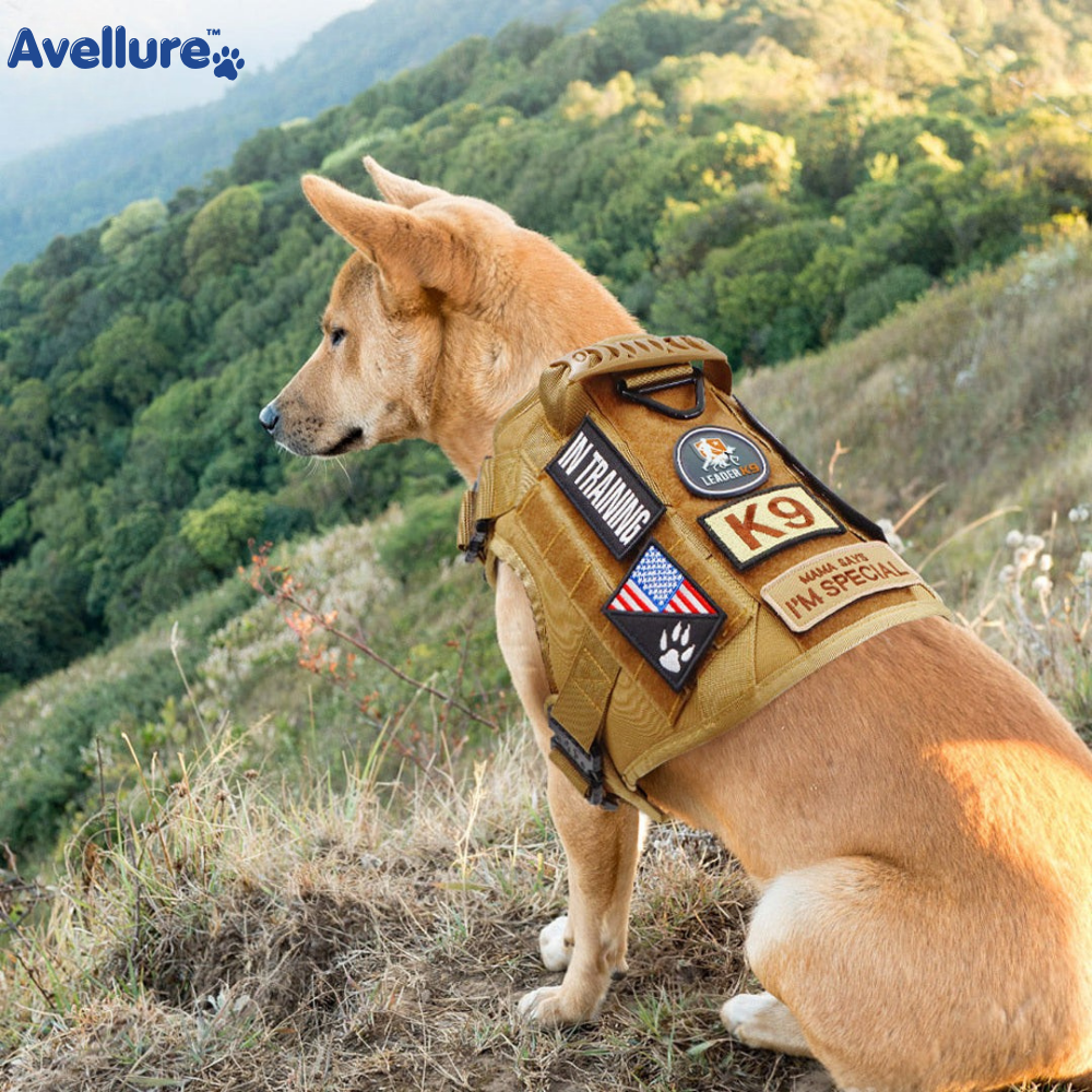 Avellure K9 Pro™ No-Pull Tactical Dog Harness – Full Control for Power Breeds