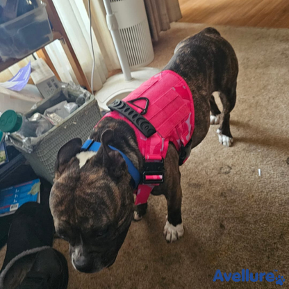 Avellure K9 Pro™ No-Pull Tactical Dog Harness – Full Control for Power Breeds