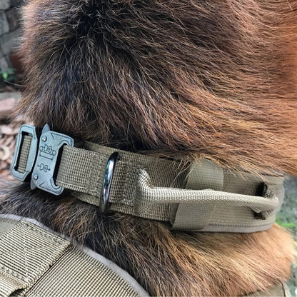 Avellure™ Tactical Dog Collar