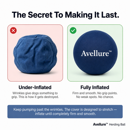 Avellure™ Herding Ball