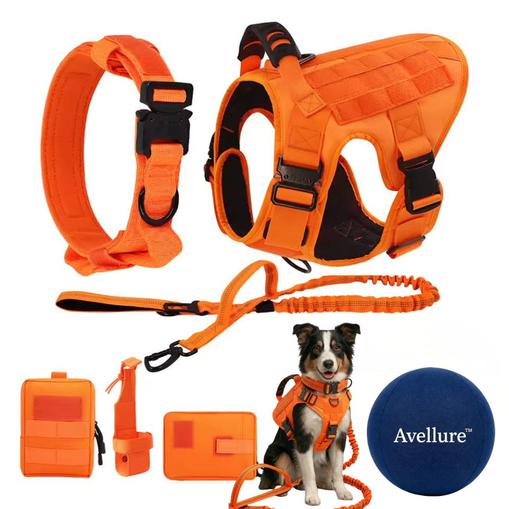 Avellure K9 Pro™ Ultimate Control Tactical Set