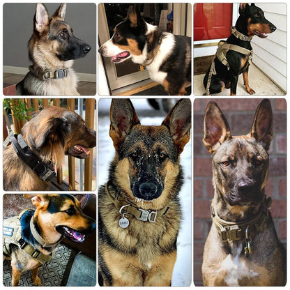 Avellure™ Tactical Dog Collar