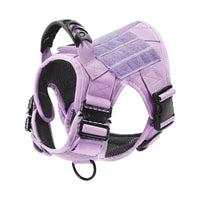 Lavender (New)